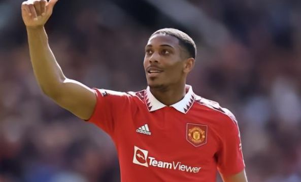 球场上的焦 球场上的焦