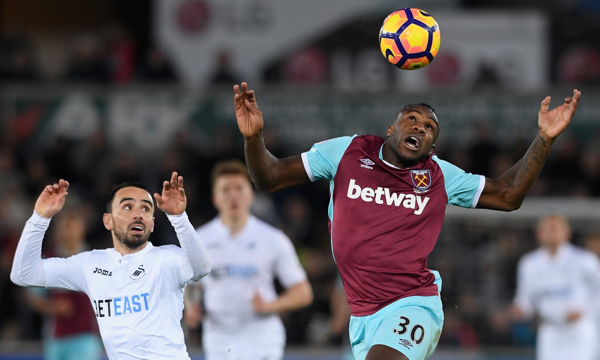 可持续和包 可持续和包